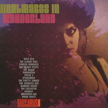 Rubble, Volume 3: Nightmares in Wonderland by Various Artists - album cover