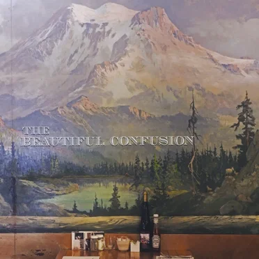 The Beautiful Confusion by The Beautiful Confusion - album cover