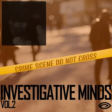 Investigative Minds, Vol. 2 by Songs To Your Eyes - album cover