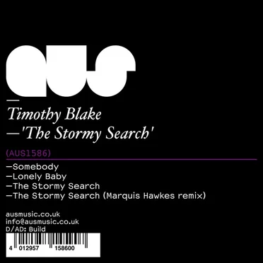 The Stormy Search by Timothy Blake - album cover