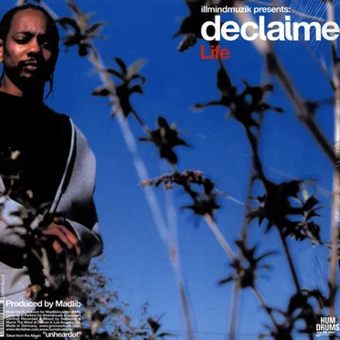 Enjoy Your Stay / Life