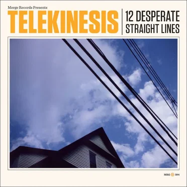 12 Desperate Straight Lines