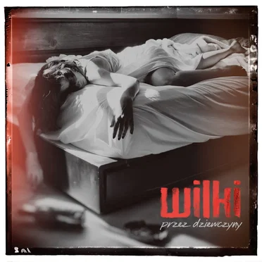 Wilki