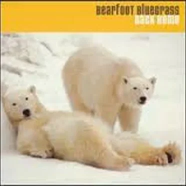 Back Home by Bearfoot Bluegrass - album cover