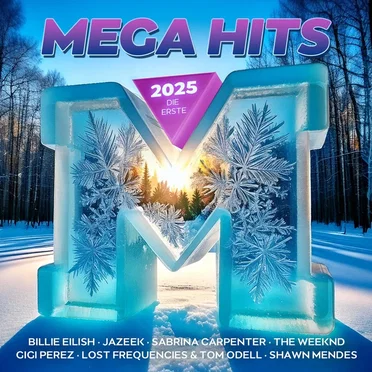 Megahits 2025: Die Erste by Various Artists - album cover