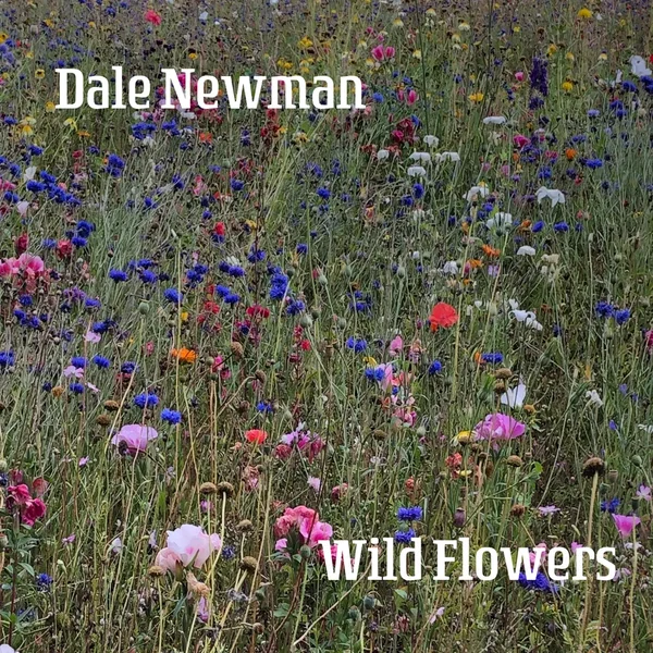Wild Flowers