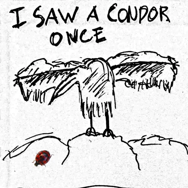 I Saw a Condor Once