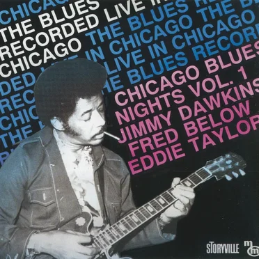 Chicago Blues Nights by Various Artists - album cover