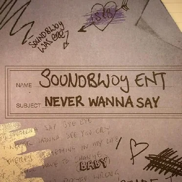 Never Wanna Say