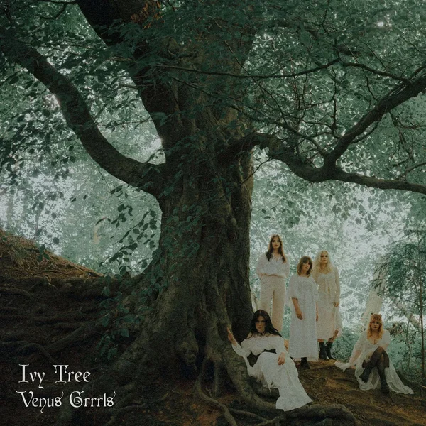 Ivy Tree