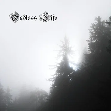 Endless Life