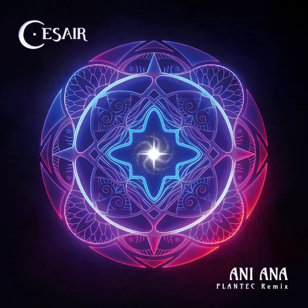 Ani Ana (Plantec remix)