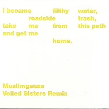 Veiled Sisters Remix