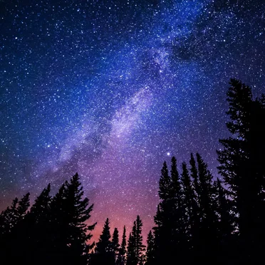 Night Skies