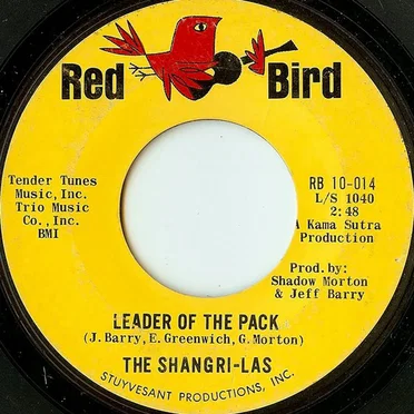 Leader of the Pack / What Is Love