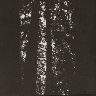 Elegia