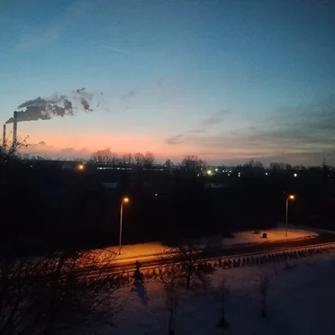 Tekstura Naturalna