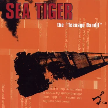 The "Teenage Bandit"