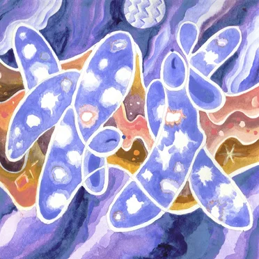 フレンズ