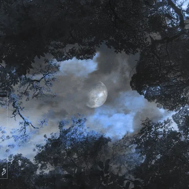 Holding Me Back (The Kite String Tangle’s stripped back version)