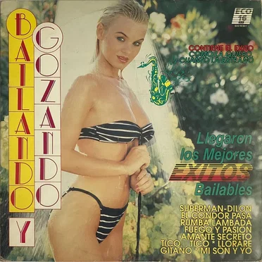 Bailando y gozando by Varios - album cover