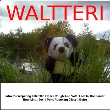 Waltteri by Waltteri - album cover