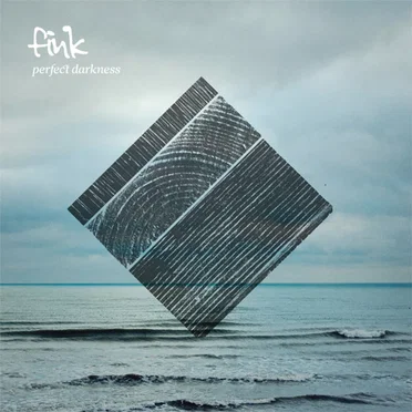 Perfect Darkness