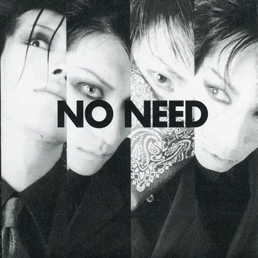Don't disturb by NO NEED - album cover