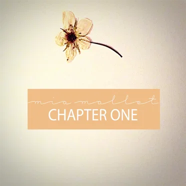 Chapter One