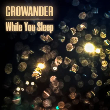 While You Sleep by Crowander - album cover