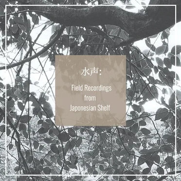 水声:Field Recordings from Japonesian Shelf