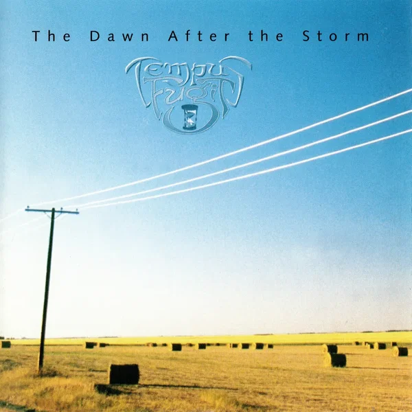 The Dawn After the Storm