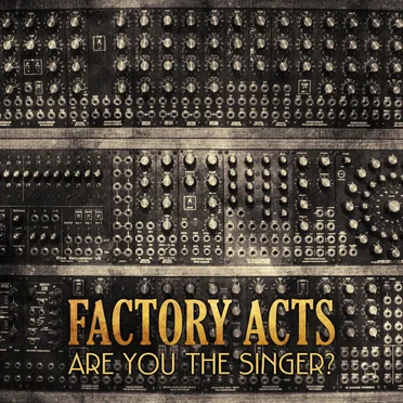 Are You the Singer?