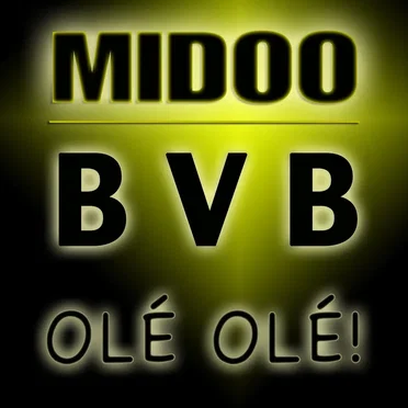 BVB olé olé