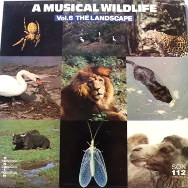 A Musical Wildlife Vol.6 The Landscape by Various Artists - album cover