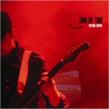 Upside Down by End of You - album cover