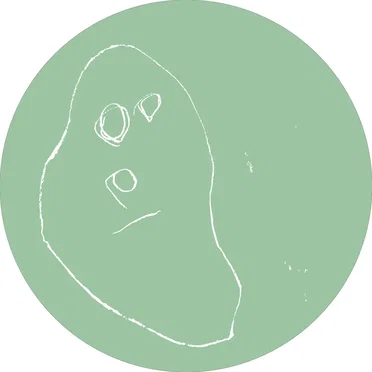 3024-FYE2