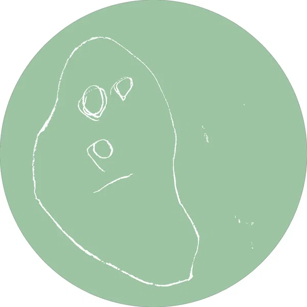 3024-FYE2