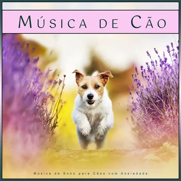 Música de Cão: Música de Sono para Cães com Ansiedade