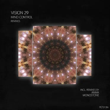 Mind Control (Remixes) by Vision 29 - album cover