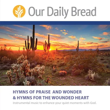 Hymns of Praise & Wonder and Hymns for the Wounded Heart by Various Artists - album cover