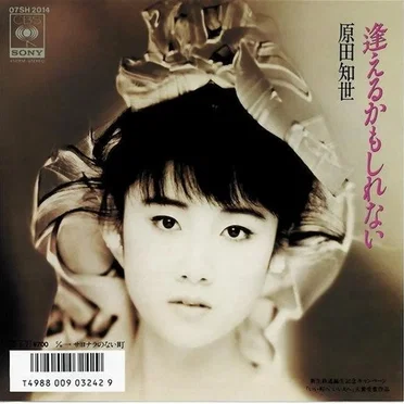 逢えるかもしれない