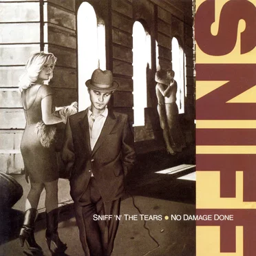 No Damage Done by Sniff ’n’ the Tears - album cover