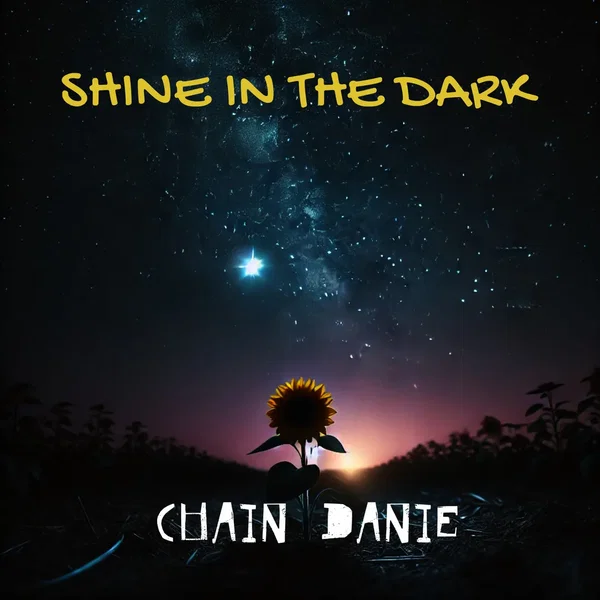 Shine in the Dark