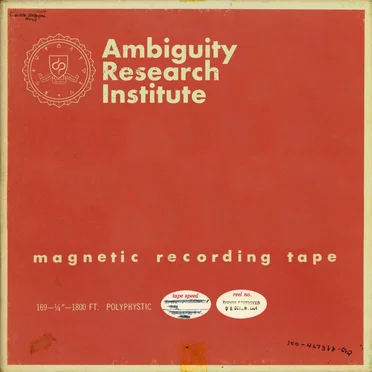 Ambiguity Research Institute