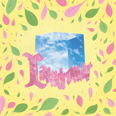 Laundromat by Pickle Darling - album cover