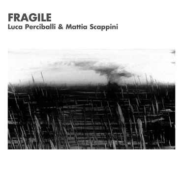 Mattia Scappini