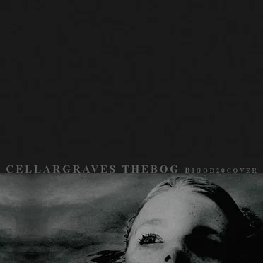 The Bog (Bigod20 cover)