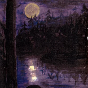 Hymner fra Trolltjern by Trolltjern - album cover