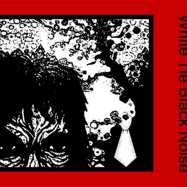 White Tie Black Noise
